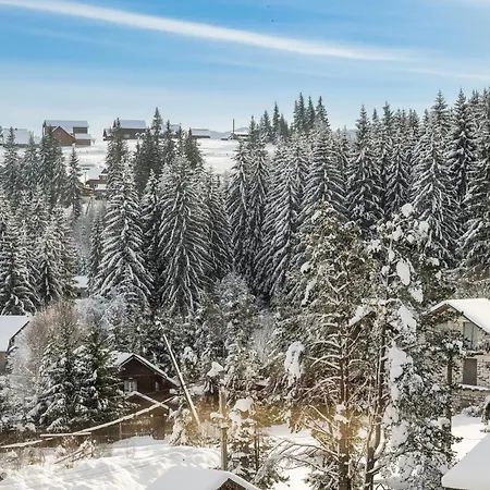 парламент, *